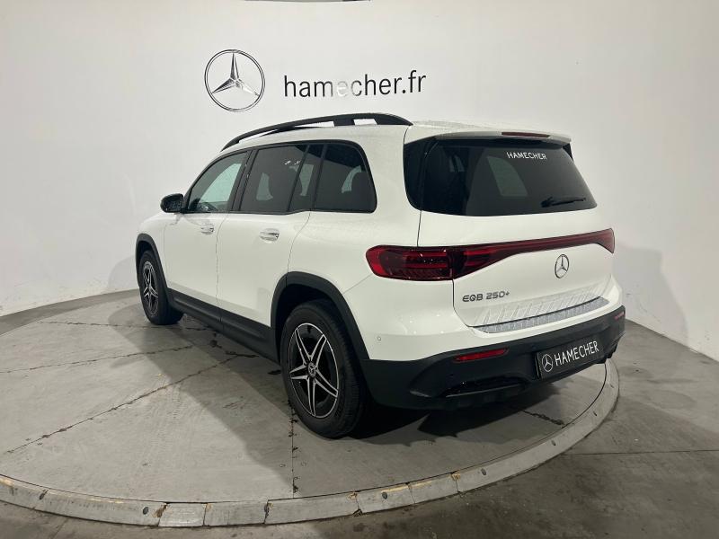 Image MERCEDES-BENZ EQB 250+ 190ch Edition